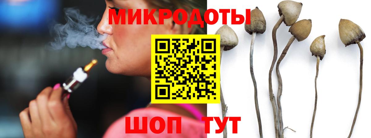 Котлас  Галлюциногенные грибы Psilocybine cubensis  Вход с VPN 