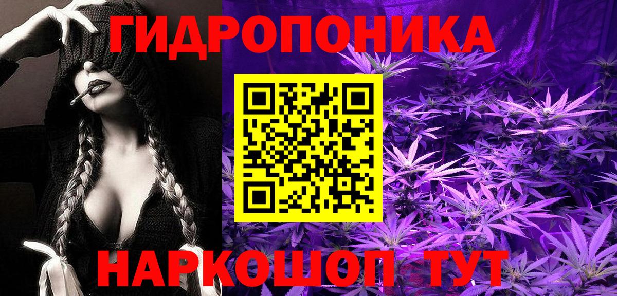 Котлас  МАРИХУАНА план  Каннабис индика  Вход с VPN  Каннабис семена  Каннабис THC 21% 